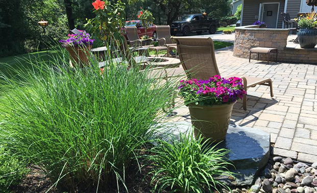 Close-up of Plants and Patio